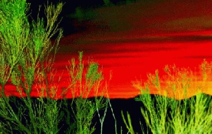 azsnst01.JPG - 26.7 K