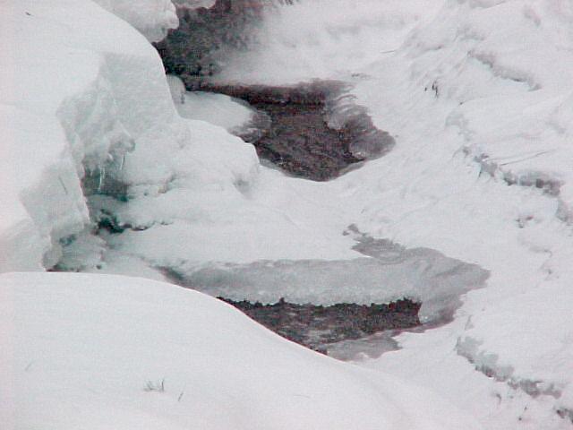 winstream5.jpg - 32.4K