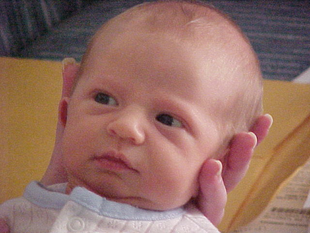 Connor Jared Handspicker